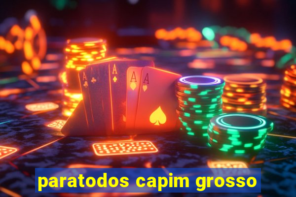 paratodos capim grosso